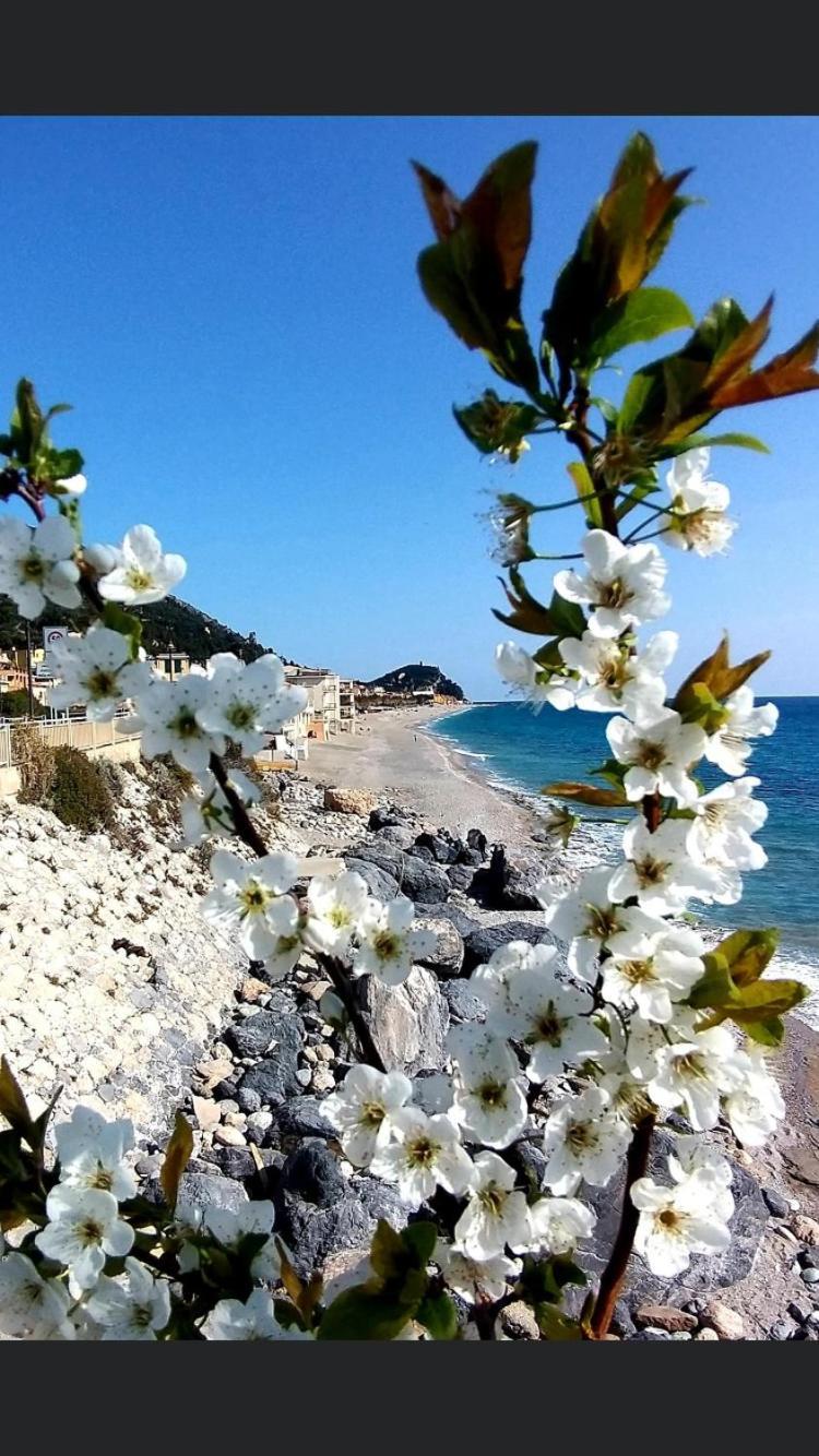 B&B Piccolo Paradiso Finale Ligure Exteriér fotografie
